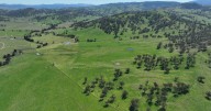 Mandalea: 3442 acres of prime Upper Hunter grazing land