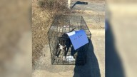 North Carolina Woman Races To Highway After Seeing Post About Dog Left In Kennel With 'Free' Sign