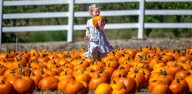Where to find pumpkin patches this Halloween in the Inland Empire