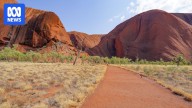 Anthony Albanese joins traditional owners to mark 40 years since Uluṟu