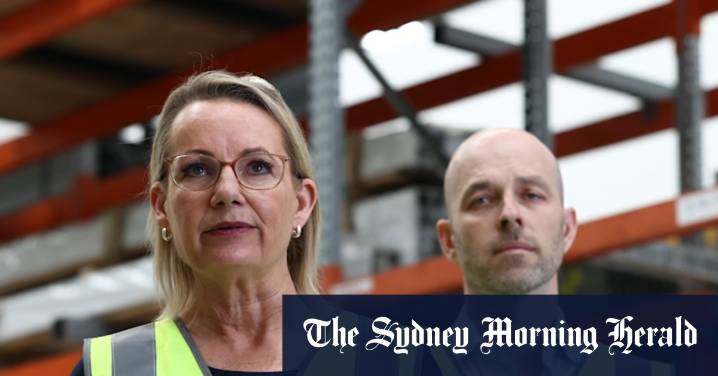 Nature law revamp: Sussan Ley concerned over broad powers for environment minister