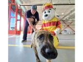 Cornwall Fire Services shows community its new station, headquarters