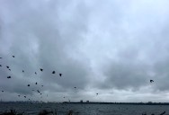 N.Y. weather: Coastal flooding remains a concern for NYC as cool, breezy conditions continue