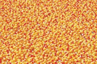 The UK's weirdest new trend? Rubber ducks are everywhere