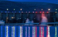 Oregon, environmental groups ask courts to help Columbia Basin fish