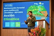 Colombia un país verde con contradicciones en la normatividad que protege los bosques