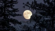 ¿La luna llena nos quita el sueño?; un neurólogo explica la ciencia detrás del sueño, el estado de ánimo y los mitos lunares