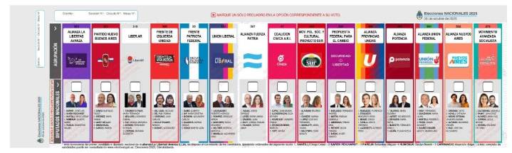 En General Pueyrredon hay 575.424 electores y una boleta con 15 opciones
