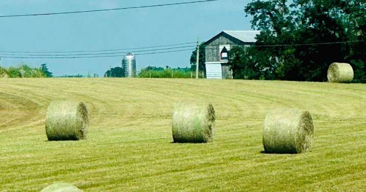 Mason County residents weigh billion-dollar data center proposal amid growing concerns