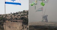 Cosecha del olivo en Palestina: Una temporada de violencia, robo y resistencia