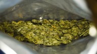 FL court rules cops can’t search cars just because of a pot smell