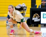 Volleyball: Chloe Gollaher gets Waubonsie Valley past Metea