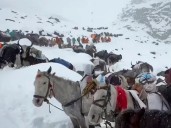 Monte Everest: rescataron a todos los montañistas que habían quedado atrapados a casi 5.000 metros de altura
