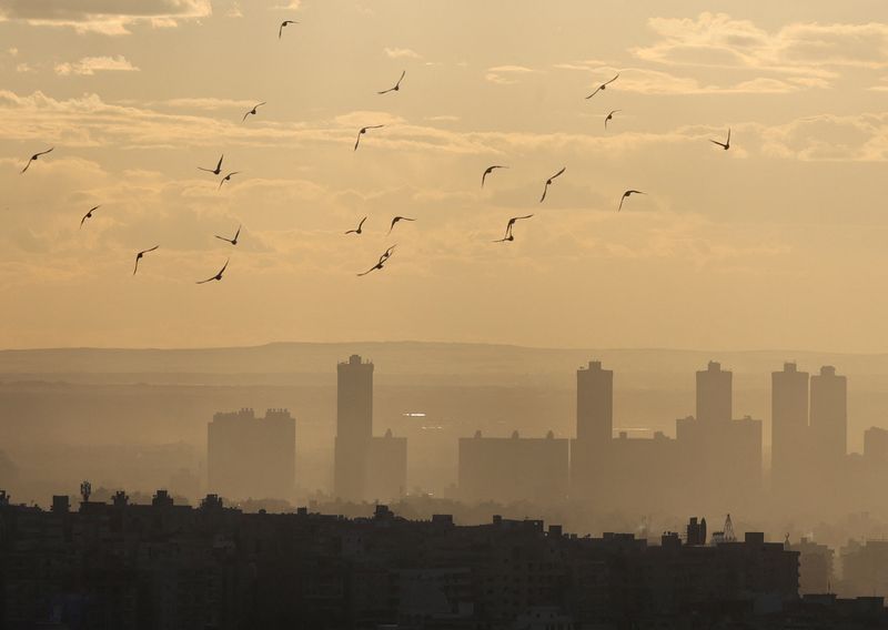 Egypt's economy seen growing 4.6% in 2025/26 as inflation eases