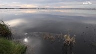 Vuelven las temidas aguas negras al Parc Natural de l'Albufera