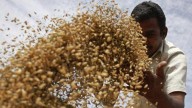 Falling inflation, prices: Panel calls for ban, curbs on import of major pulses