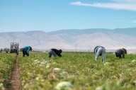 La política migratoria de Trump reduce mano de obra, retrasa proyectos y sube costos, según la Fed