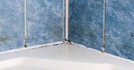 Grout should never be cleaned with product expert calls 'the bane of my existence'