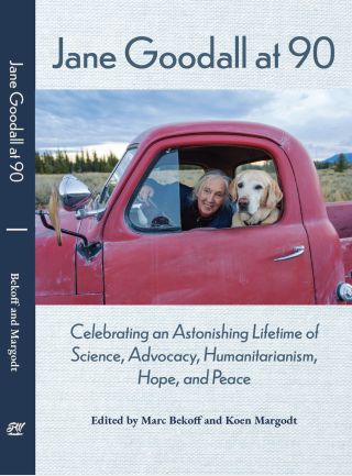 Celebrating the Legacy of Dr. Jane Goodall: 1934