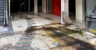 Abandoned Belfast shopping centre left to rot with mossy floors and  'crumbling' roof