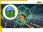 DOGE October '25 Price: Competitor Meme Coin 'Little Pepe' Threatens King