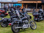 Junín fue centro de importantes eventos que convocaron visitantes de todo el país