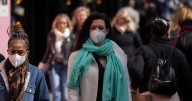 'Covid pandemic 2.0' warning as China bat habits spotted in mainland Europe