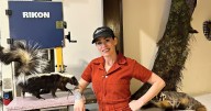 Taxidermy Classes & So Many Lizards