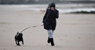 Urgent Storm Amy warning to Scots dog walkers this weekend