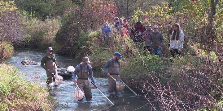 Sun Prairie students get hands-on experiences after raising trout in the classroom