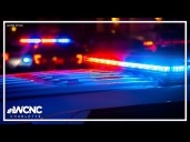 South Carolina woman, 3 dogs killed after fiery crash on I