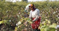 Eco India, Episode 303: How regenerative practices can restore and protect our lands