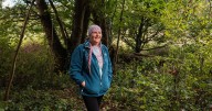 The little-known forest on the edge of the city