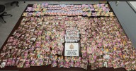 Hamilton police shut down magic mushroom dispensary