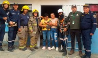 Rescate de un gato en Cali: atrapado tres días en un árbol