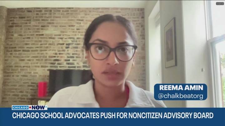 Advocates push for noncitizen advisory board: Here's what we know