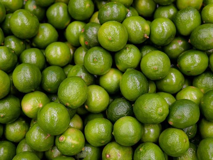 Productores piden ayuda por desplome en precio del limón