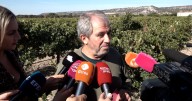 Un espontáneo se cuela en la boda de la hija de Antonio Banderas y cuenta los detalles