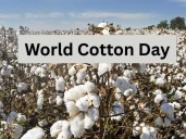 World Cotton Day 2025: Farmers urge buying cotton from government over private companies