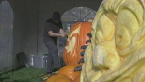 Minnesotan Man Carves Giant Jack