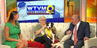 Pet of the Week: Meet Tomlin