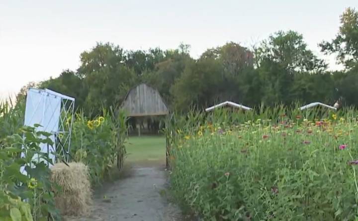 Gieringer Farm in Edgerton offers unique fall experience
