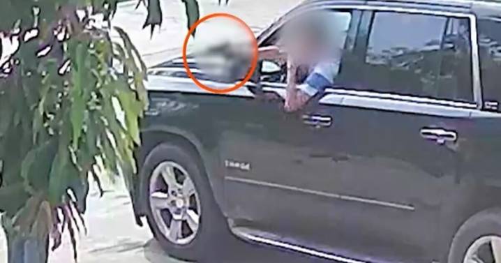 ¡Indignante VIDEO! Político y empresario amenazó con una pistola a una vecina de Veracruz por unas macetas