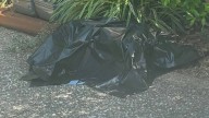 Kentucky Woman Sees Moving Plastic Bag And Is Shocked By What She Finds Inside