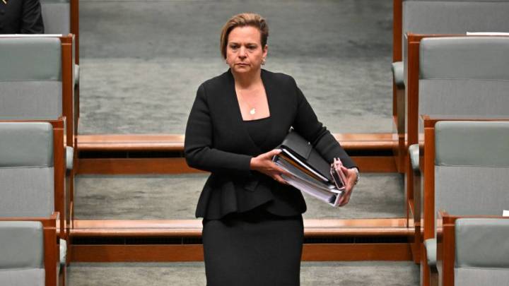 The arguments Labor is using to support its FOI reform