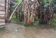 Exigen que se gestione venta de comida en comunidades afectadas por el Orinoco