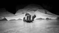 Bihar: 4 killed, 1 injured after being hit by Vande Bharat train in Purne