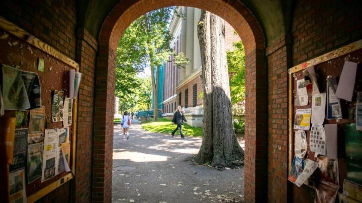 Nearly half of Harvard’s freshman class gets free tuition