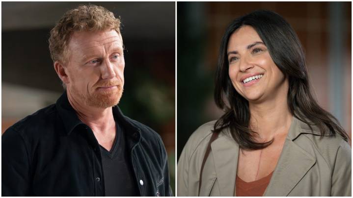 'Grey's Anatomy': Is Owen Going to Get With Nora After Teddy Split?