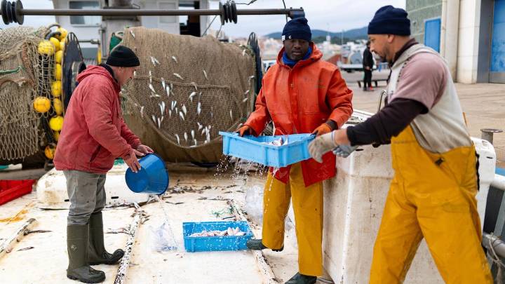 Mazón, Illa, Prohens, López Miras y Moreno alertan a Bruselas sobre el sector pesquero